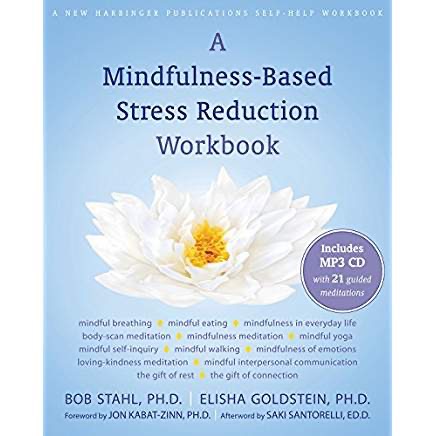 Mindfulness-Based Stress Reduction Workbook by Stahl & Goldstein